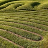 Turf labyrinth