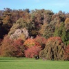 Autumn at Himley