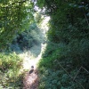 The Canal
