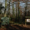 Stoke Park Wood. Dec 2005