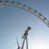 The London Eye, seen from the river