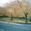 Autumn