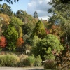Autumn at Hillier Gardens in Hampshire