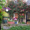 Cottage Garden in St.Mawes, Cornwall