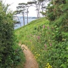 Footpath on St.Anthony's Head, near St.Mawes