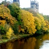 Autumn colours along the riverside.