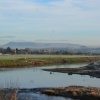 River Ribble and Pendle Hill