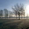 Early morning frost in the park