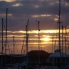 Harbour sunset