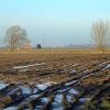 Icy puddles in the field