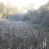 Early morning Frost - Basingstoke Canal