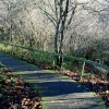 Hawthorn Wood Path.