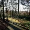 Woodland Walk, afternoon shadows