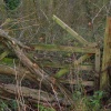 Around Up Nately - a little used gate!