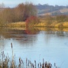 One of the ponds at the wetlands