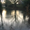 Basingstoke Canal - very cold morning walk