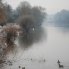 A misty cold January afternoon at Bewdley