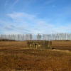 Pillbox in field at Higham near Gravesend