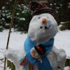 Freshly built snowman!