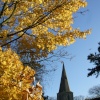 Autumn in South Hykeham