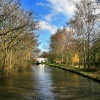 Trent and Mersey Canal near Streethay