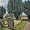 Tombstones and trees