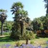 In the Botanic Gardens