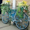 A colourful Cotswold Carriage.