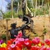 Bronze statues and flowers.