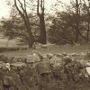 Obligatory sheep in Sepia at Castle Bolton, North Yorkshire
