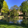 Aylesford Priory pond