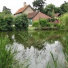 Bramerton Pond in the Village