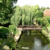 A picture of Bungay