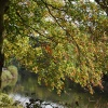 Autumn by the River Severn