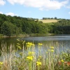 Trimpley Reservoir