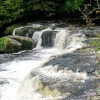 Upper Falls at Aysgarth