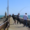 Fishing off the harbour wall at Folkestone