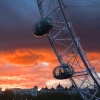 The London Eye at dusk