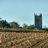 Redenhall Church Tower from across the fields