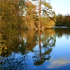 The lake at Nidd