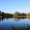 The lake at Bodenham Arboretum