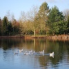Bodenham Arboretum Lake
