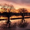 Sunrise over the floods in Upton