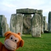 Bath Monkey visits Stonehenge