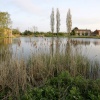 Village pond
