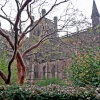 Chester Cathedral in Winter
