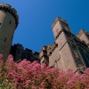 Arundel Castle walls in colour