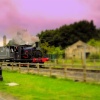 Little Steam Train