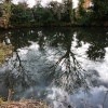 Blundeston pond reflections
