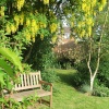 My Garden in the Garden of England